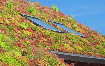 Cotton Tree living roof systems