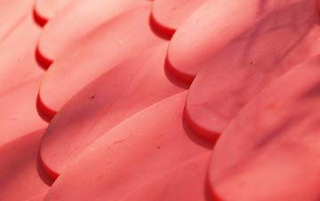 Cotton Tree plastic roof costs