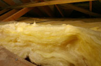 Cotton Tree pitch roof insulation