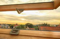 rated Cotton Tree roof window companies