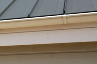 Cotton Tree soffit repair