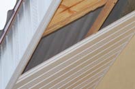 rated Cotton Tree soffit repair companies